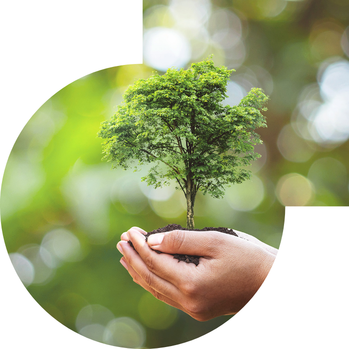 关怀人类、文化、环境与社会